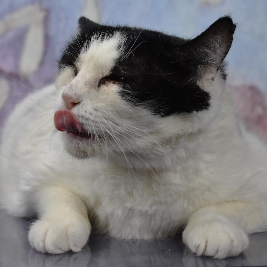 Elodie — thumbnail 3