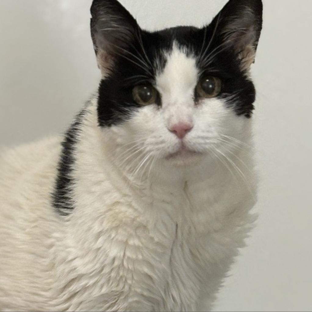 Elodie — thumbnail 4