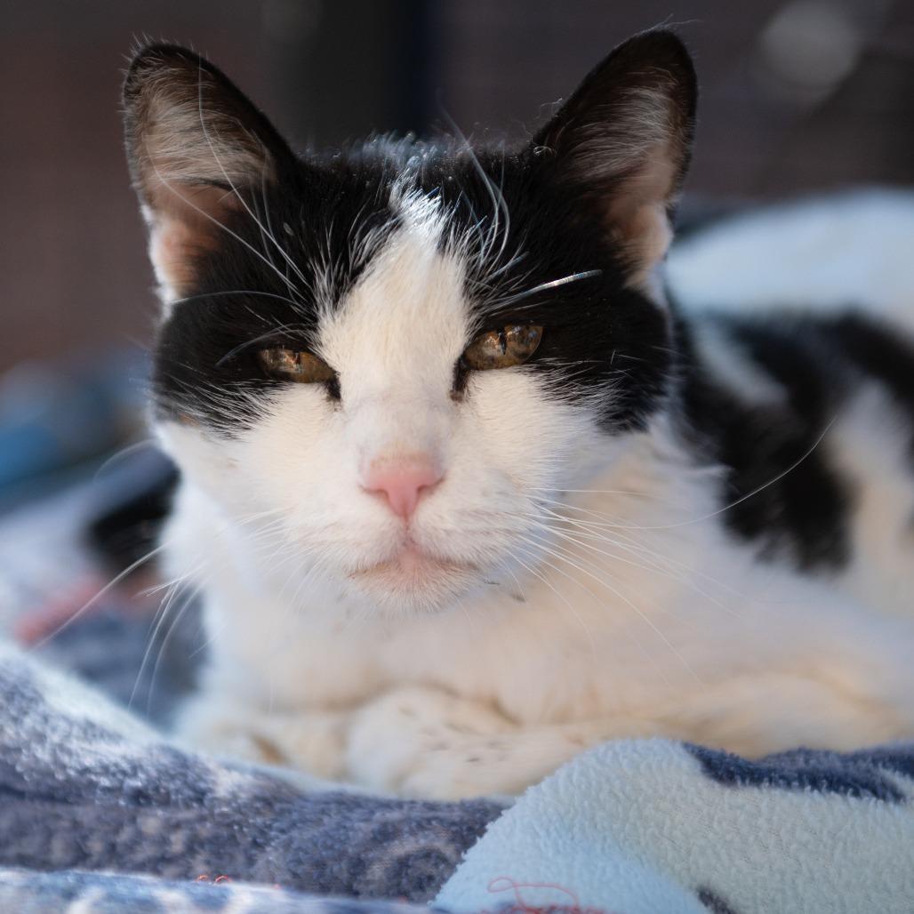 Elodie — thumbnail 5