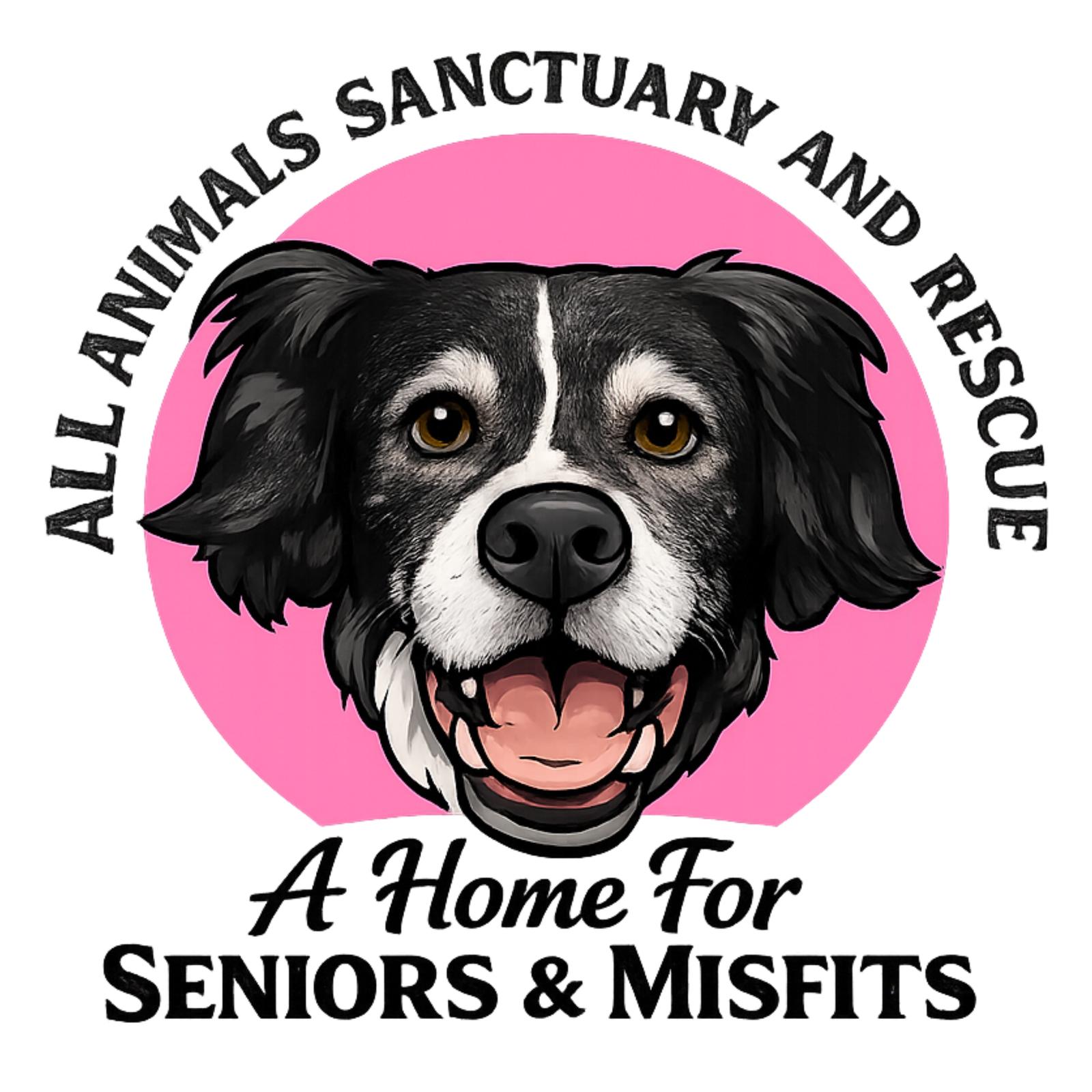 Enlarge Wobble *Bonded w/ Weeble*, a Adoptable Domestic Medium Hair in Fuquay Varina, NC image 2/3