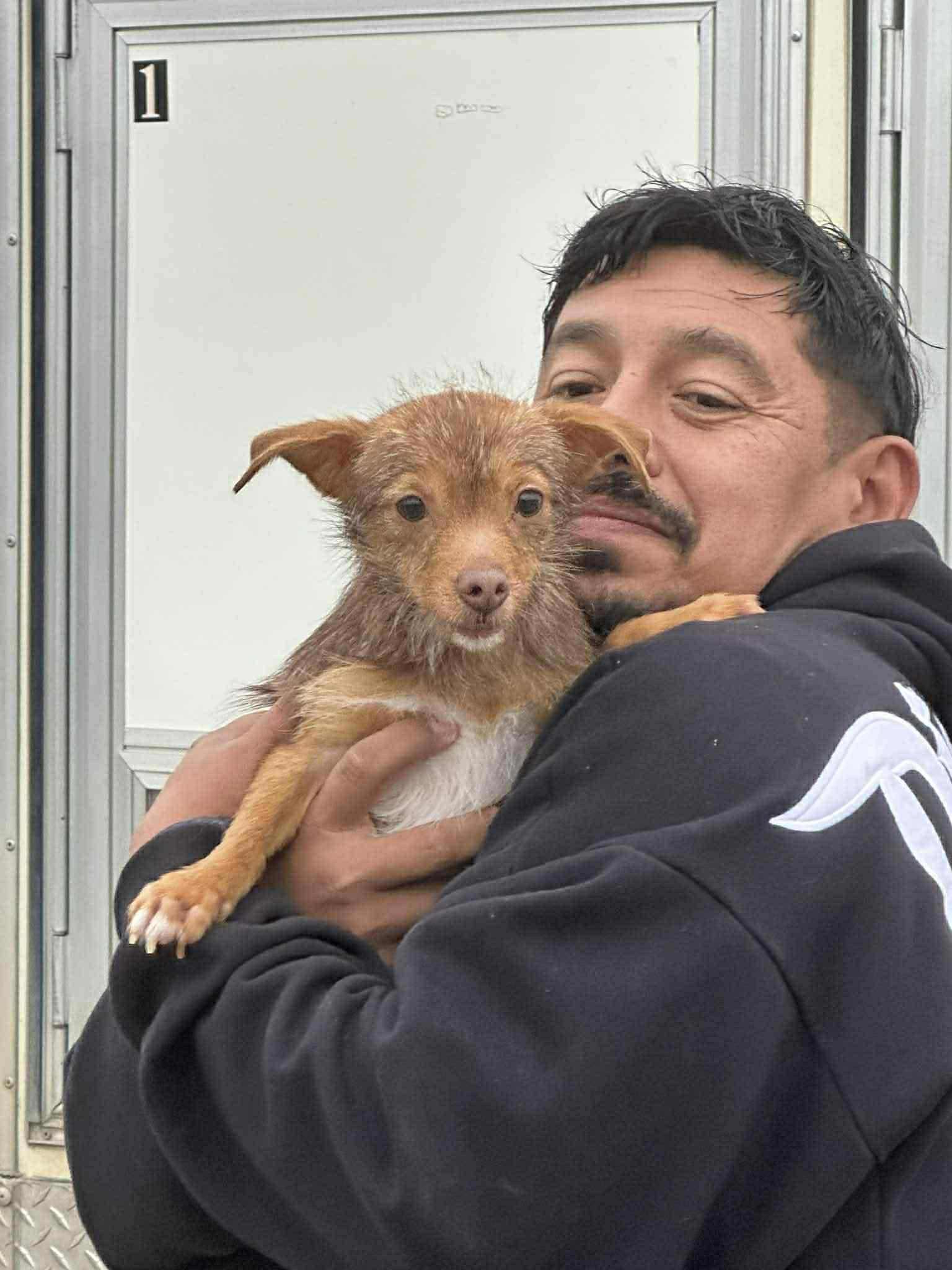 Enlarge Poppy, a Adoptable mixed breed in Roseburg, OR image 3/6