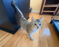 Lindsey (FCID# 12/29/2025 - 40) DC