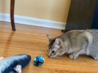 Lindsey (FCID# 12/29/2025 - 40) DC — thumbnail 2