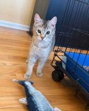 Lindsey (FCID# 12/29/2025 - 40) DC — thumbnail 3