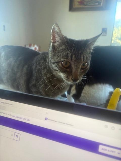 Juan Carlos thumbnail 2