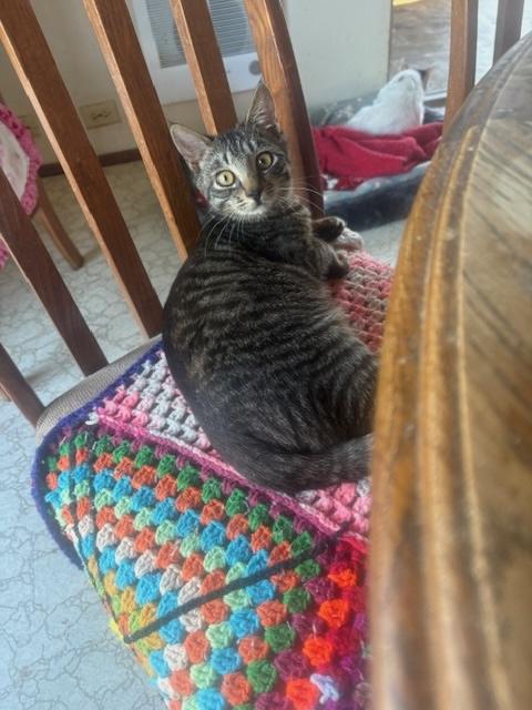 Juan Carlos thumbnail 3