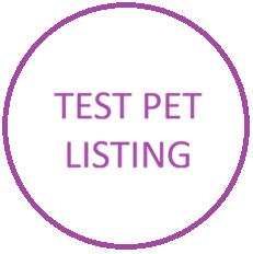 Enlarge Almond-NOT-A-REAL-PET, a ADOPTABLE mixed breed in Bettles, MN image 1/1