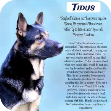 Tidus — thumbnail 4