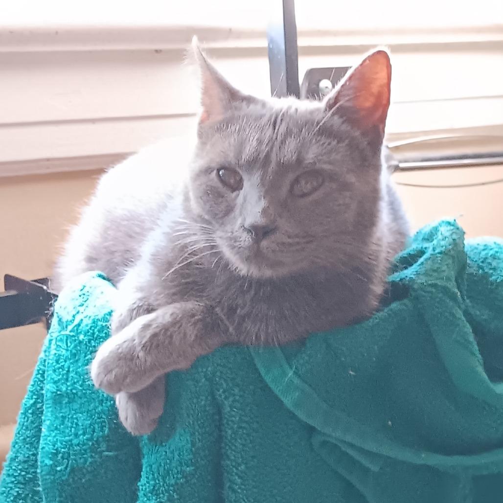 Christian Gray thumbnail 2