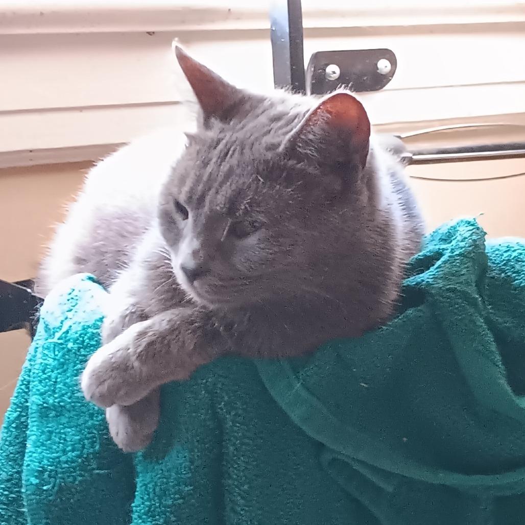 Christian Gray thumbnail 3