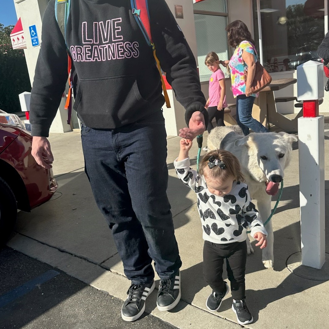 Enlarge Otis, an adoptable mixed breed in Ione, CA image 4/4