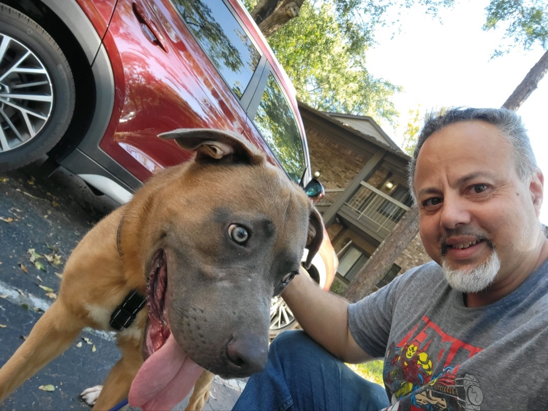 Enlarge Benny , a Adoptable mixed breed in Winter Park, FL image 1/5