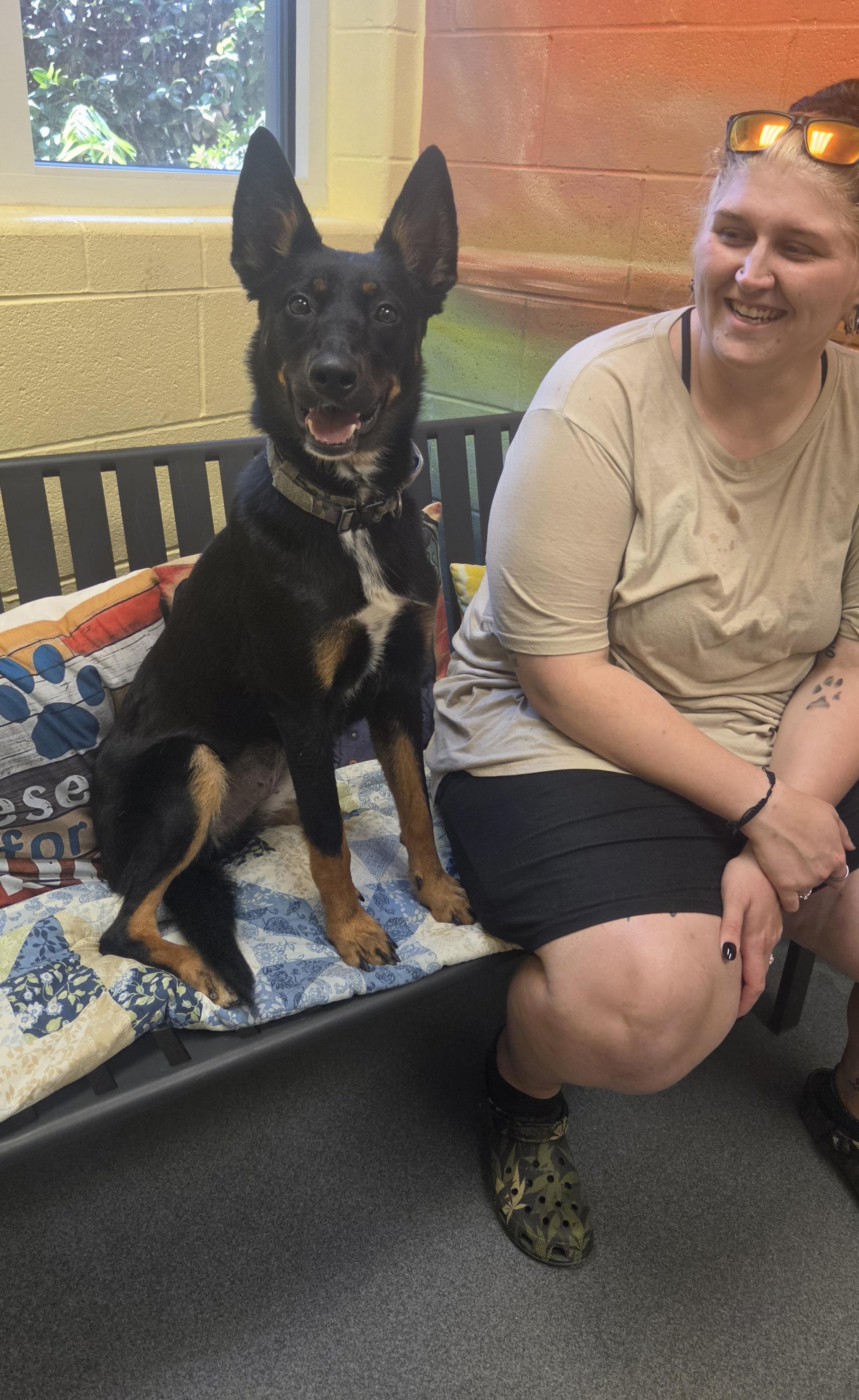 Moonie (Moonshine) - PENDING, a ADOPTABLE mixed breed in Amherst, VA image 2/6