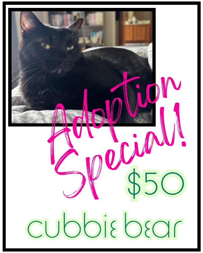 Enlarge Cubbie Bear, a Adoptable mixed breed in Poplar Grove, IL image 5/6