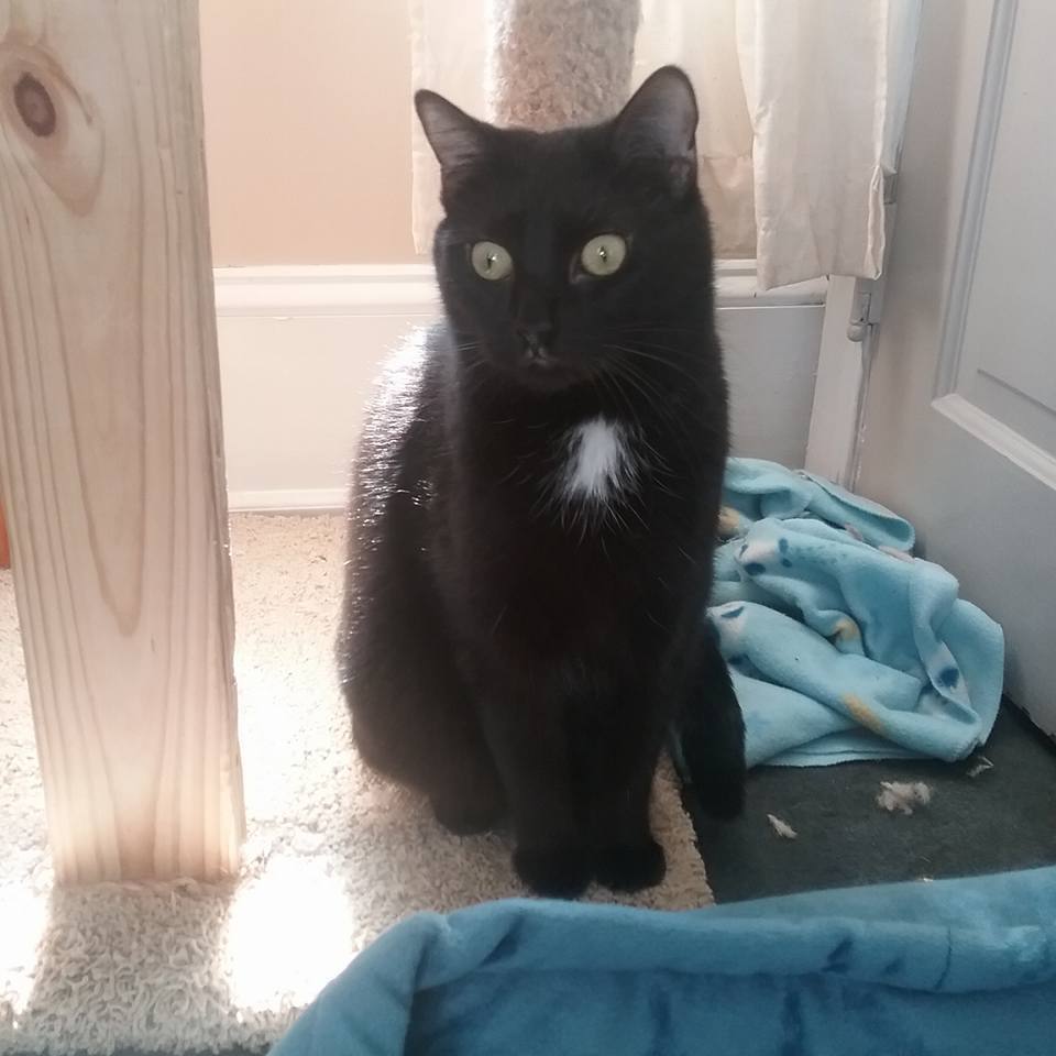 Luna