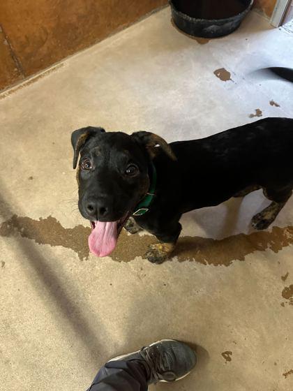 Mercedes thumbnail 2