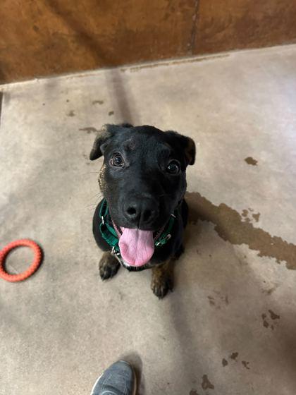 Mercedes thumbnail 3