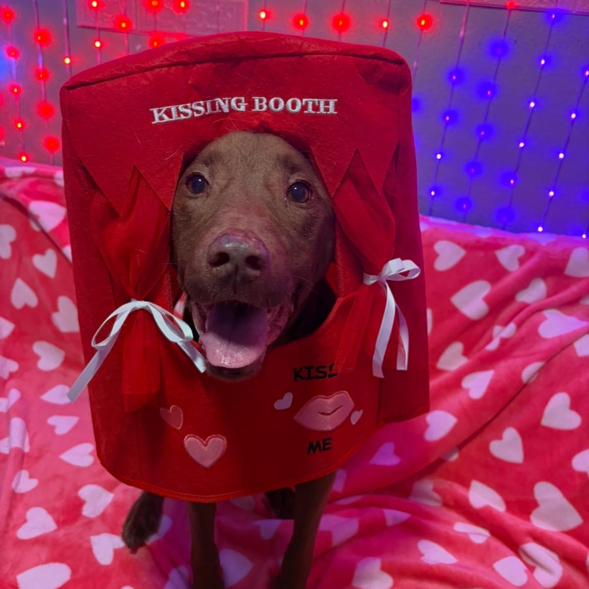 Crissy — thumbnail 5