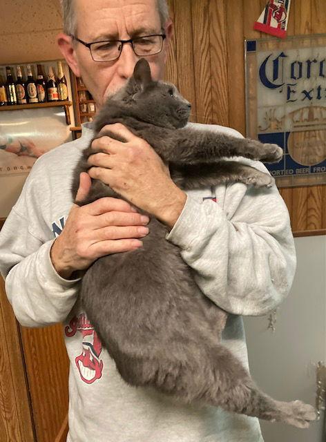 Meredith  Aka  thumbnail 2