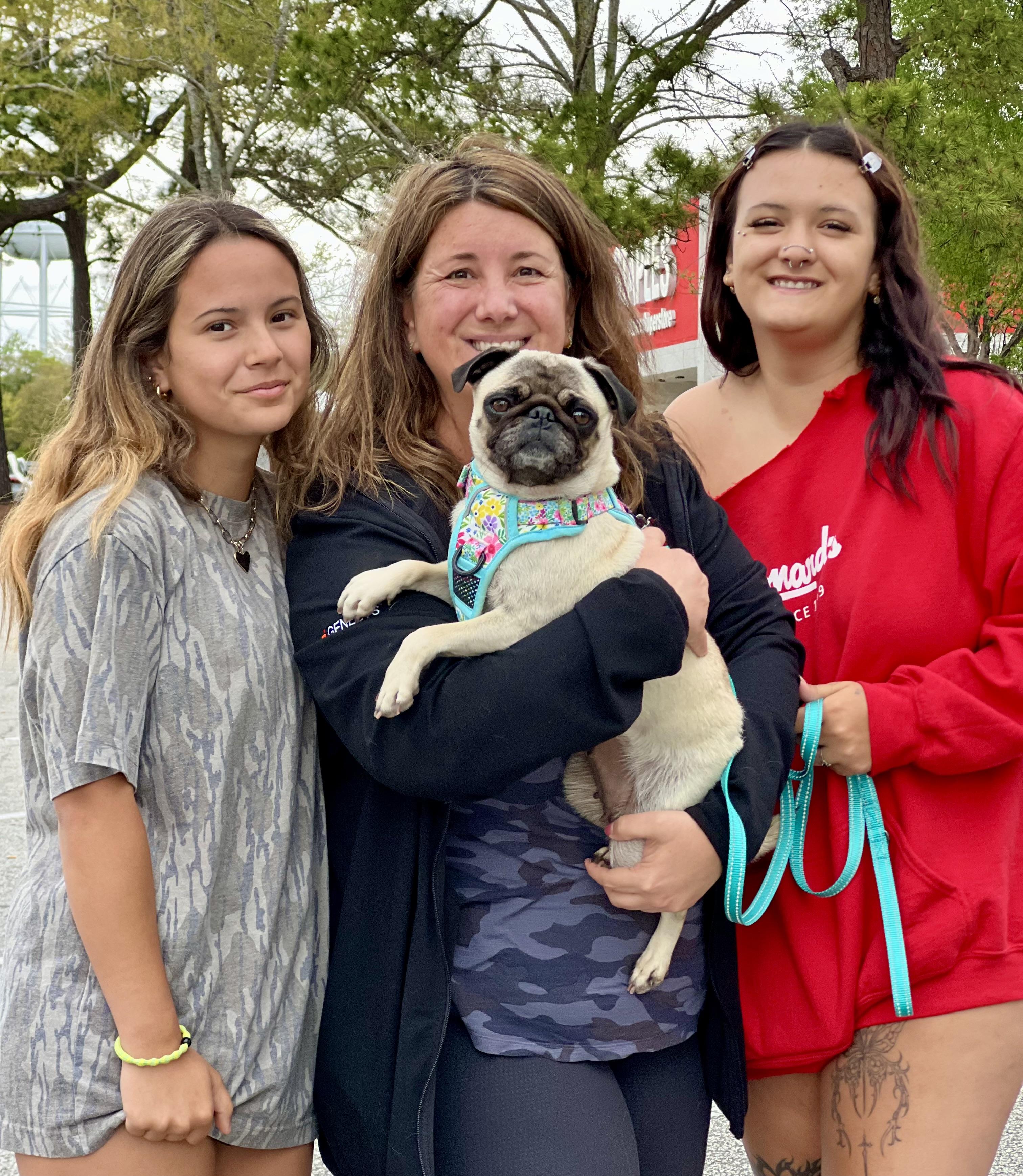 Enlarge Marge, an adopted Pug in Mt Pleasant, SC image 6/6
