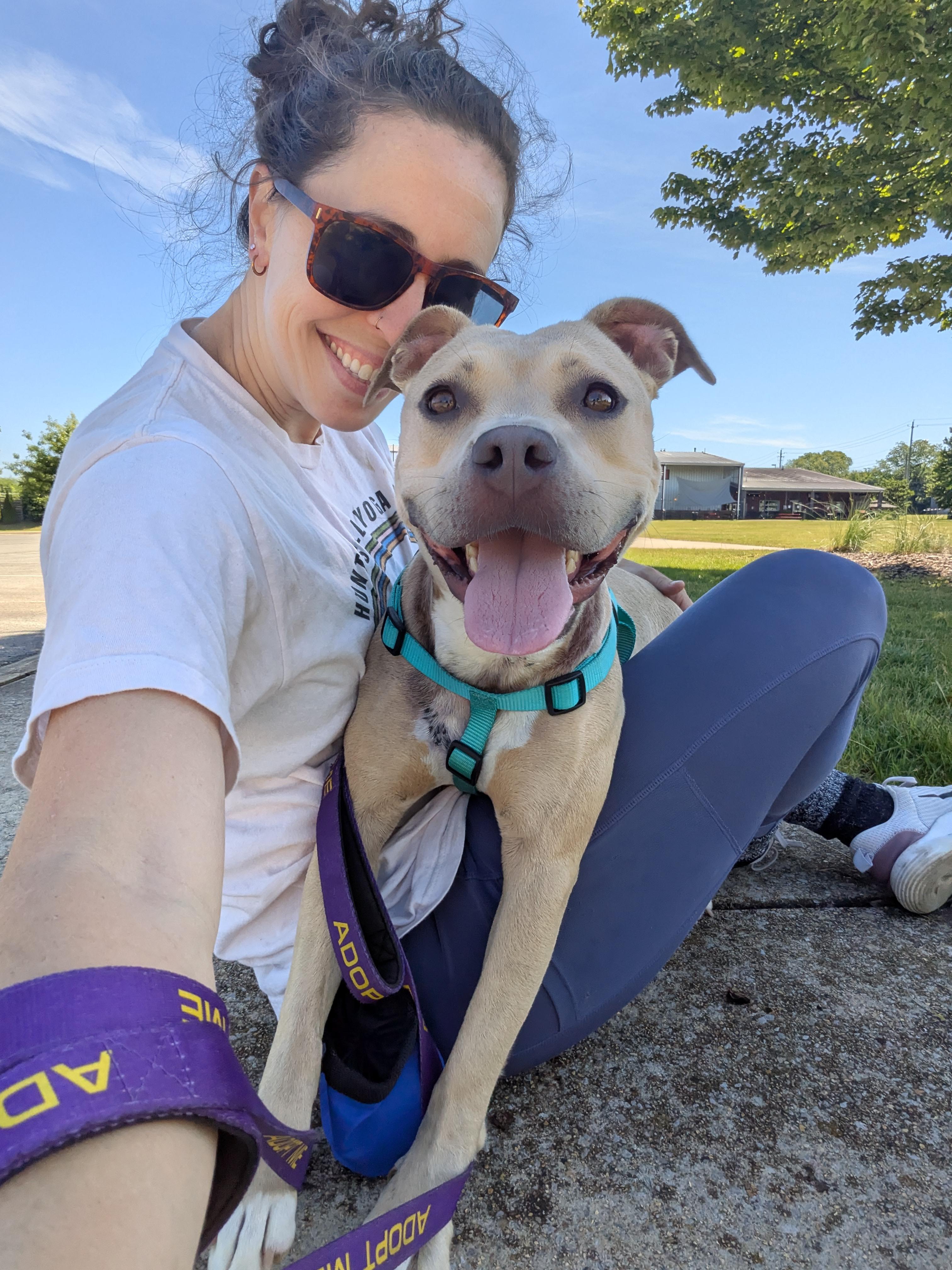 Enlarge Arya, a ADOPTABLE mixed breed in Huntsville, AL image 5/6