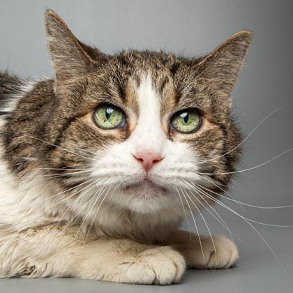 Shayla — thumbnail 3