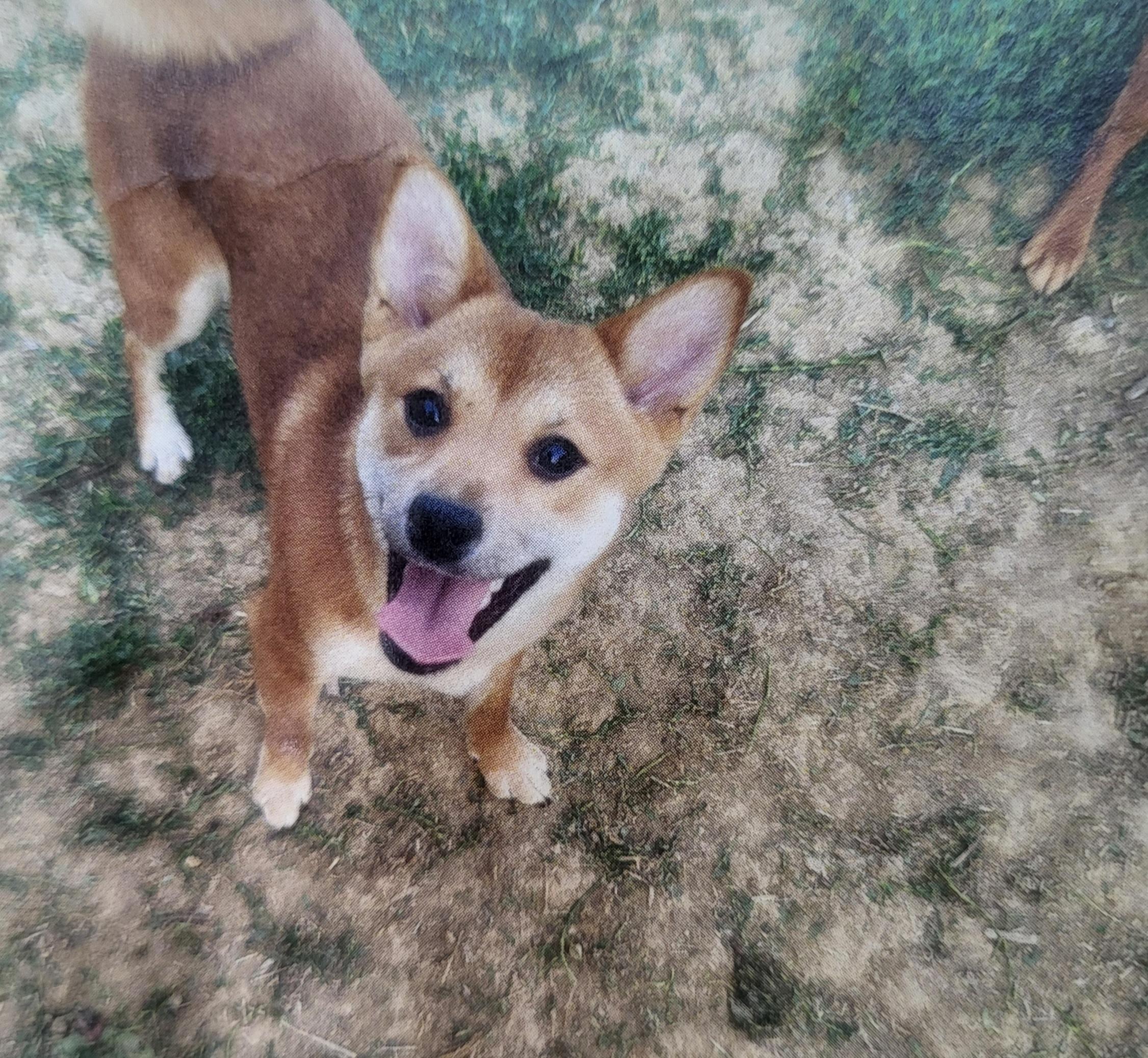 Butters