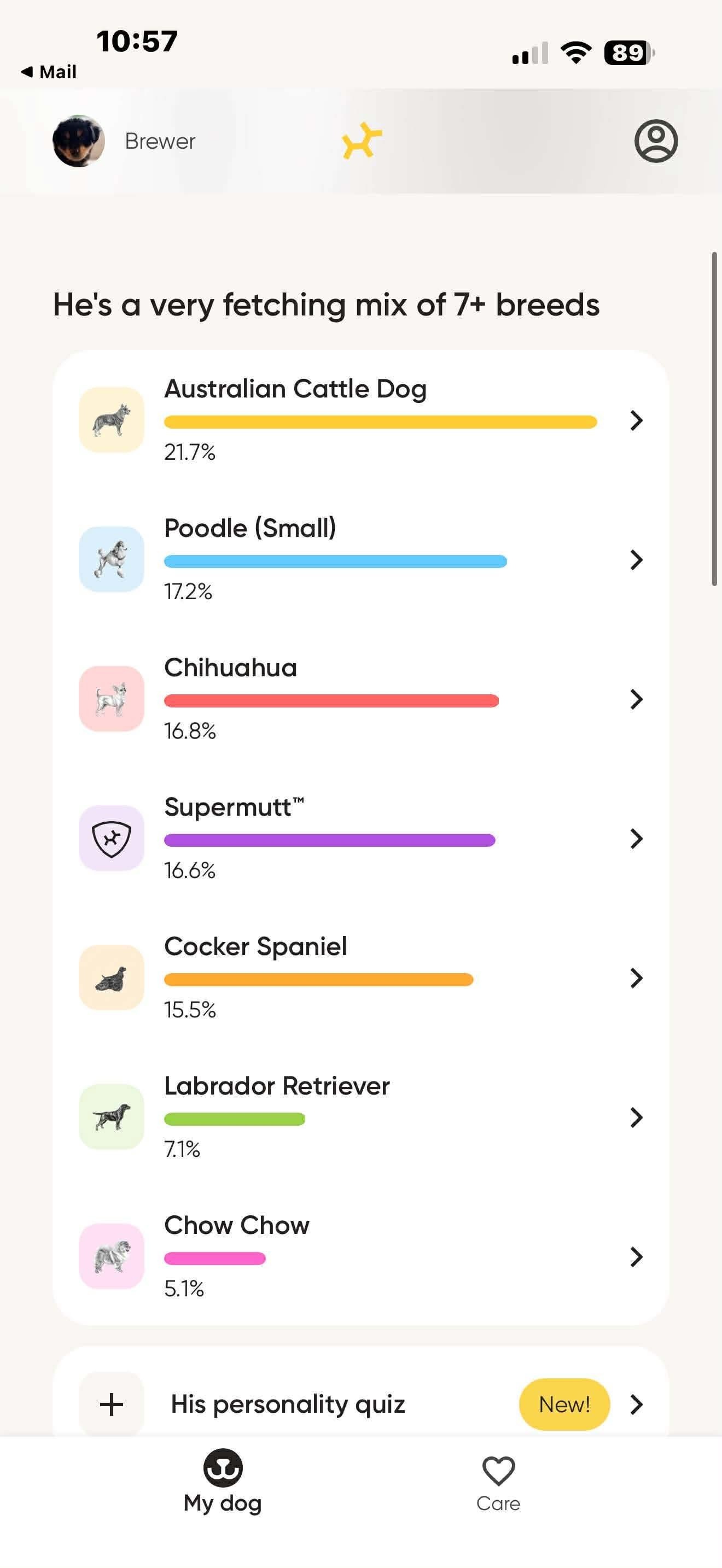 Enlarge Dulce , a ADOPTABLE mixed breed in Kirkland , WA image 5/6