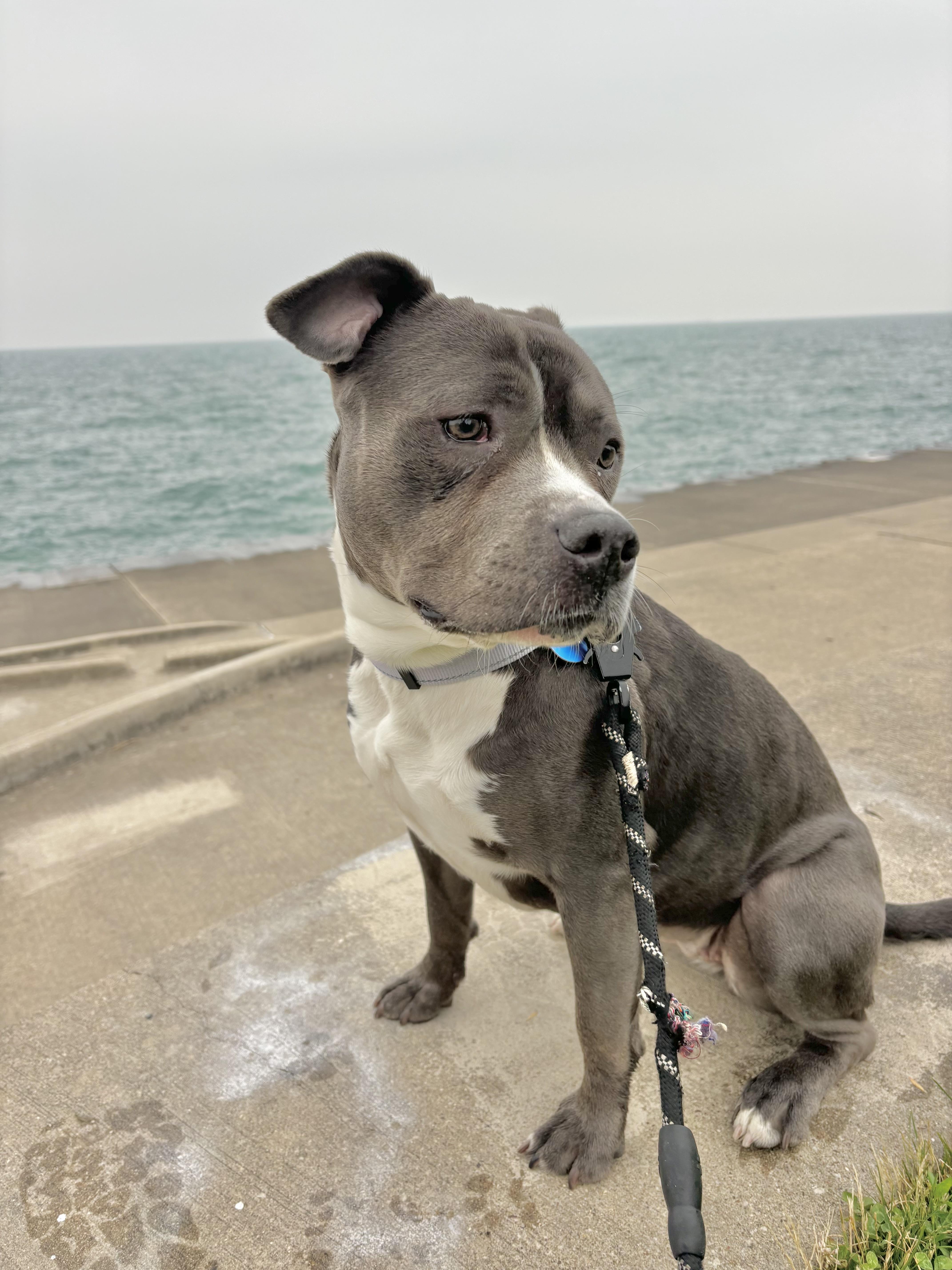 Lua