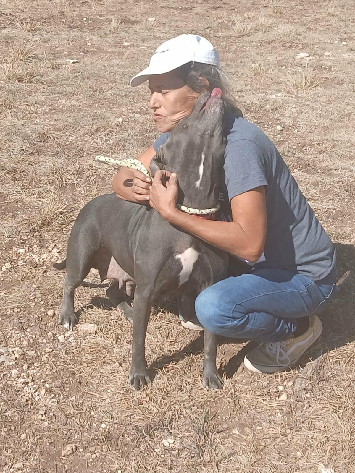 Enlarge PRINCESS >  Bleeding Heart Society, a Adoptable Pit Bull Terrier in Garden City, KS image 5/6