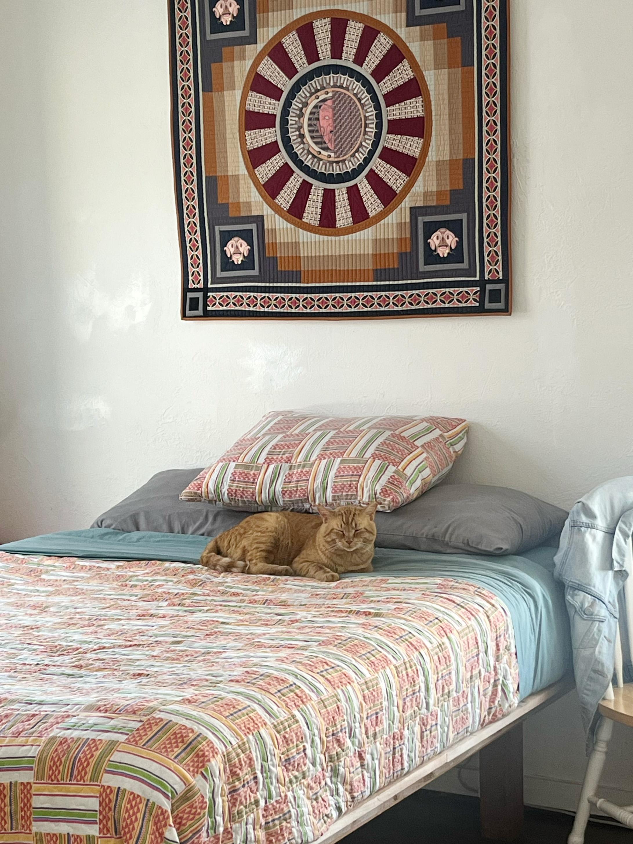 Enlarge Battle, a ADOPTABLE Domestic Short Hair in Roswell, NM image 3/5