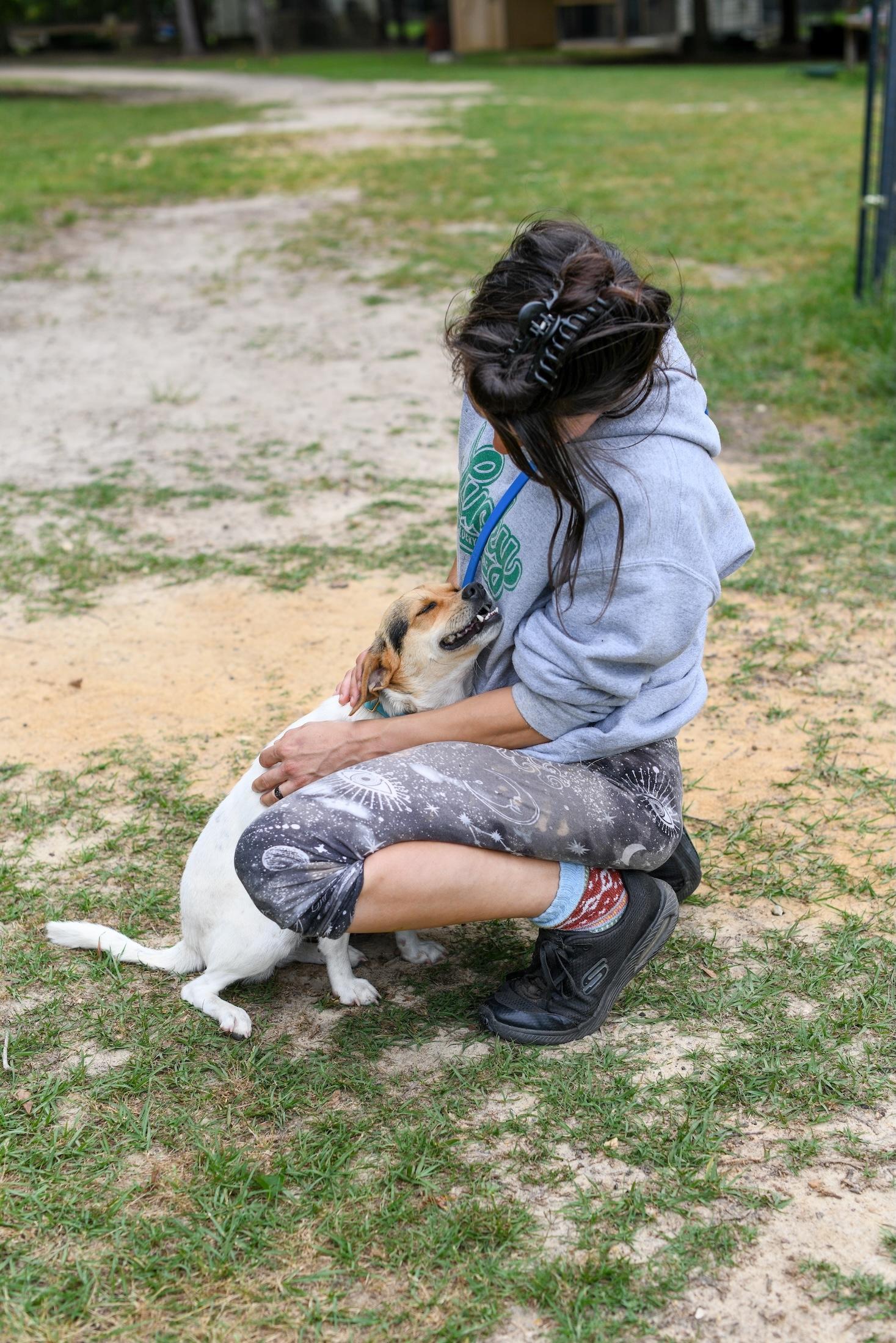 Enlarge Pumpkin (Available in Florida), a Adoptable mixed breed in BONIFAY, FL image 3/6