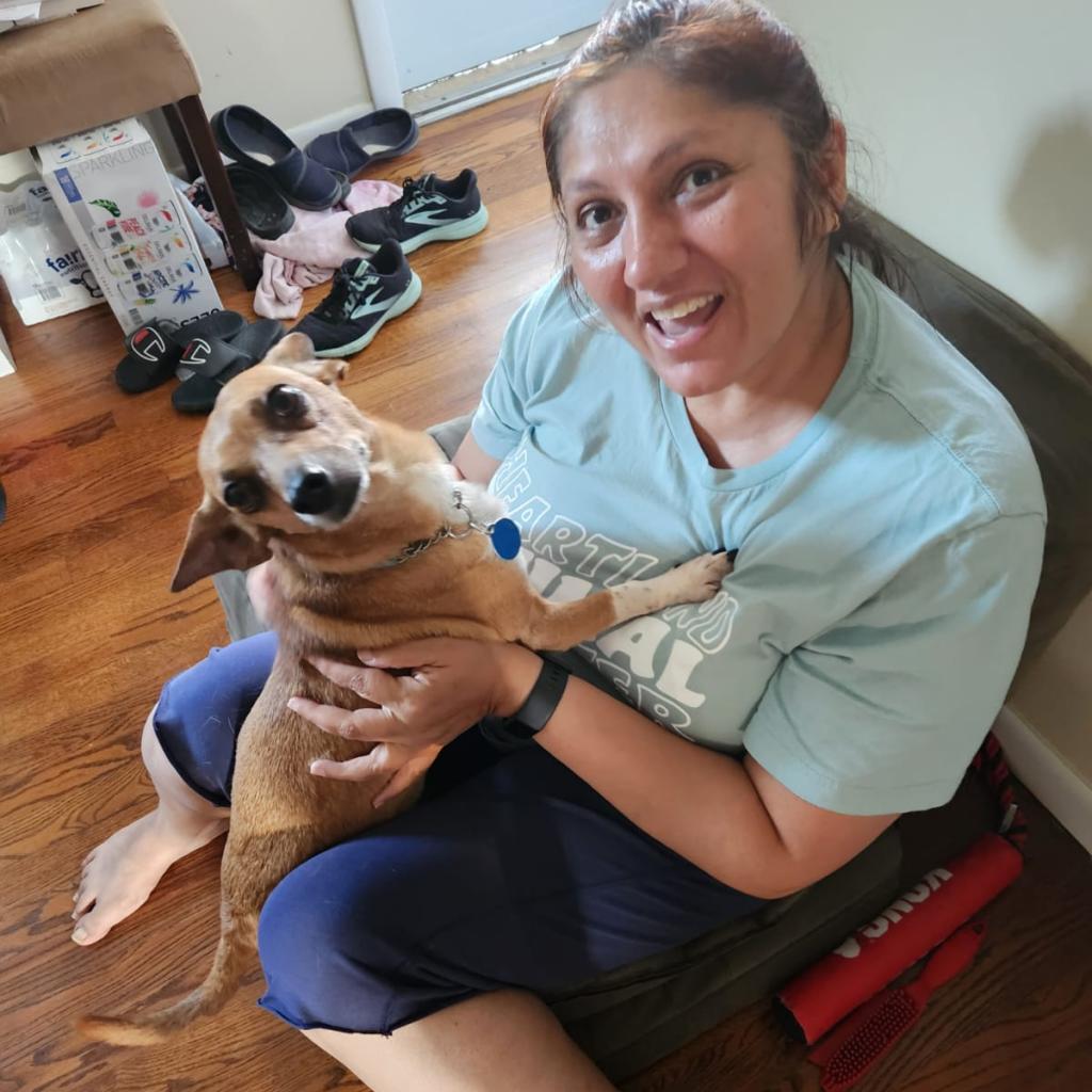 Enlarge Wrigley *bonded with Biggie*, a Adoptable mixed breed in Northbrook, IL image 3/6