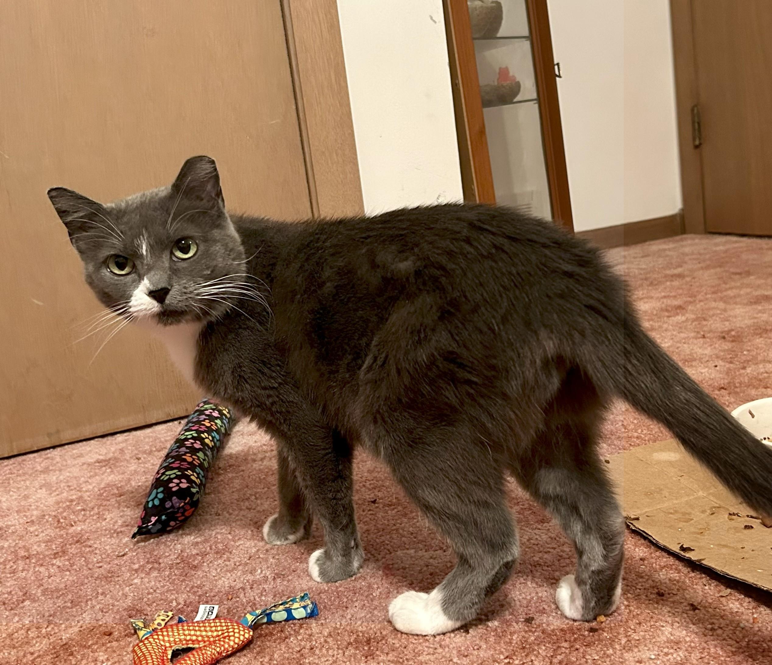Pepper