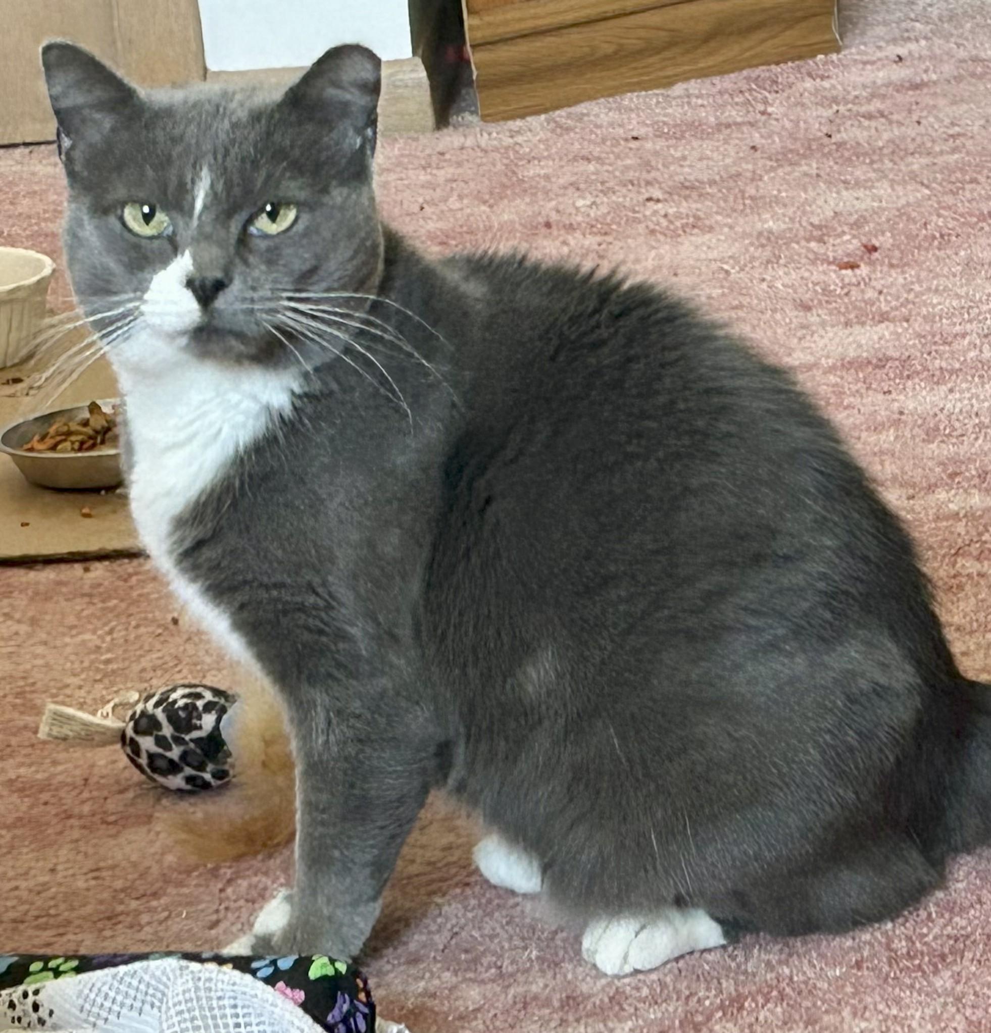Pepper