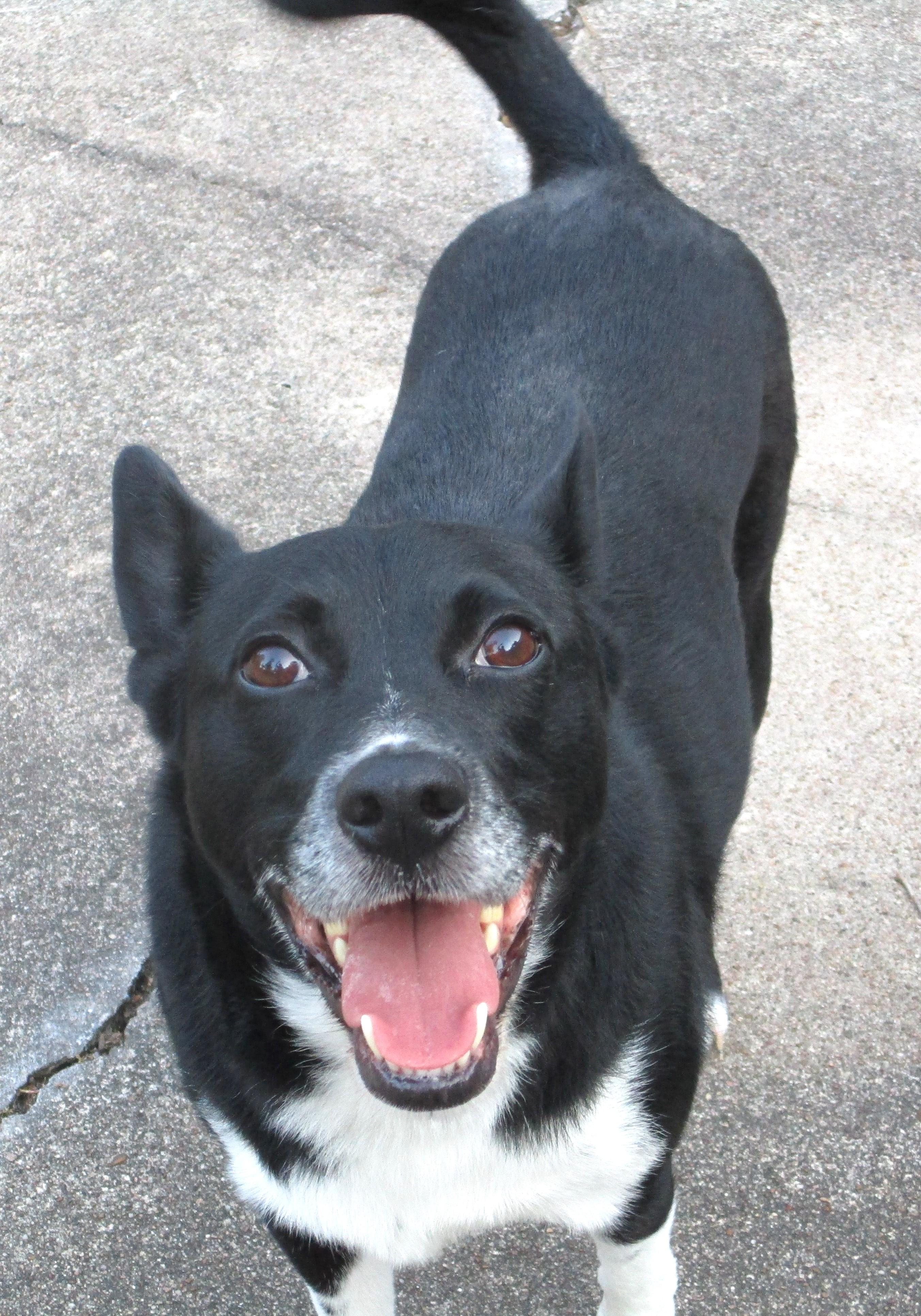 RILEY-I'm a Good Kisser!