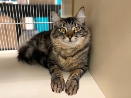 Terry — thumbnail 2