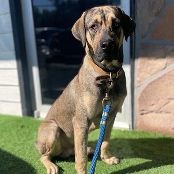 Frank — thumbnail 2