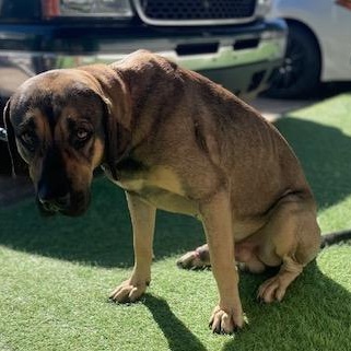 Frank — thumbnail 4