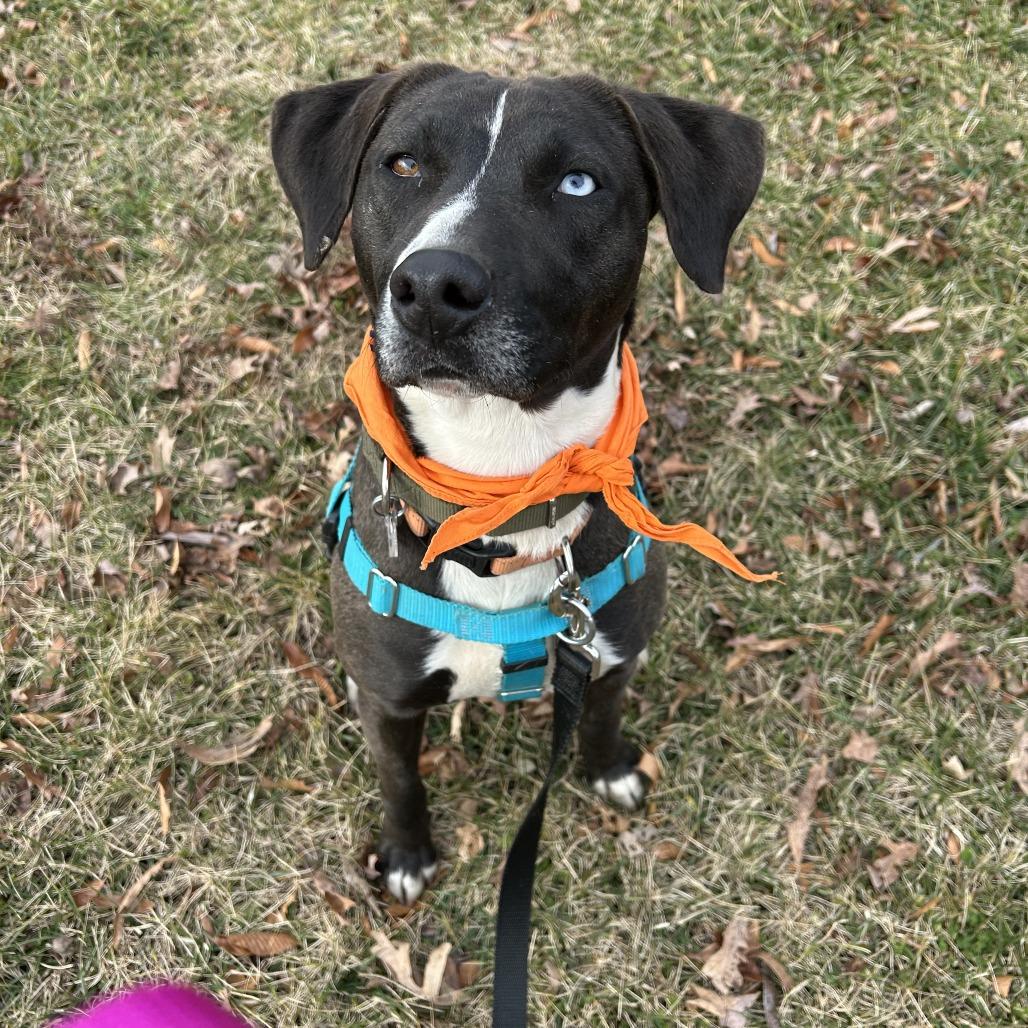 Annie — thumbnail 6