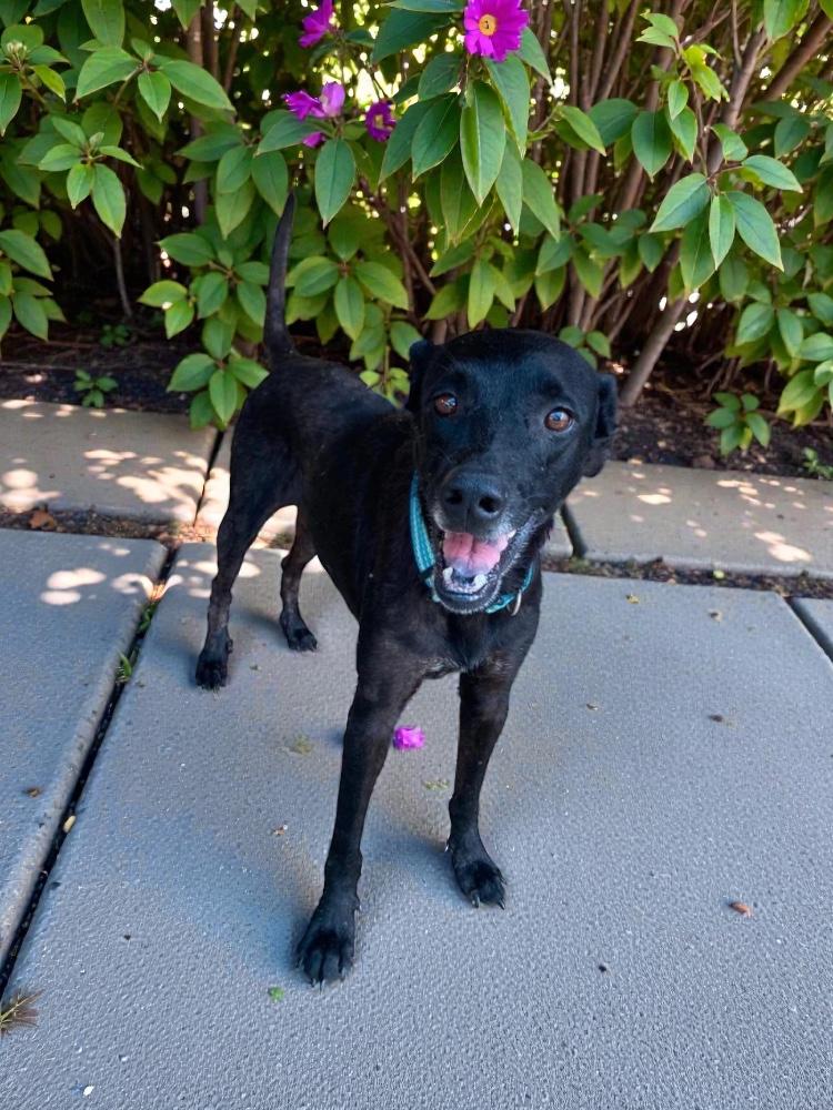 Valentina — thumbnail 5