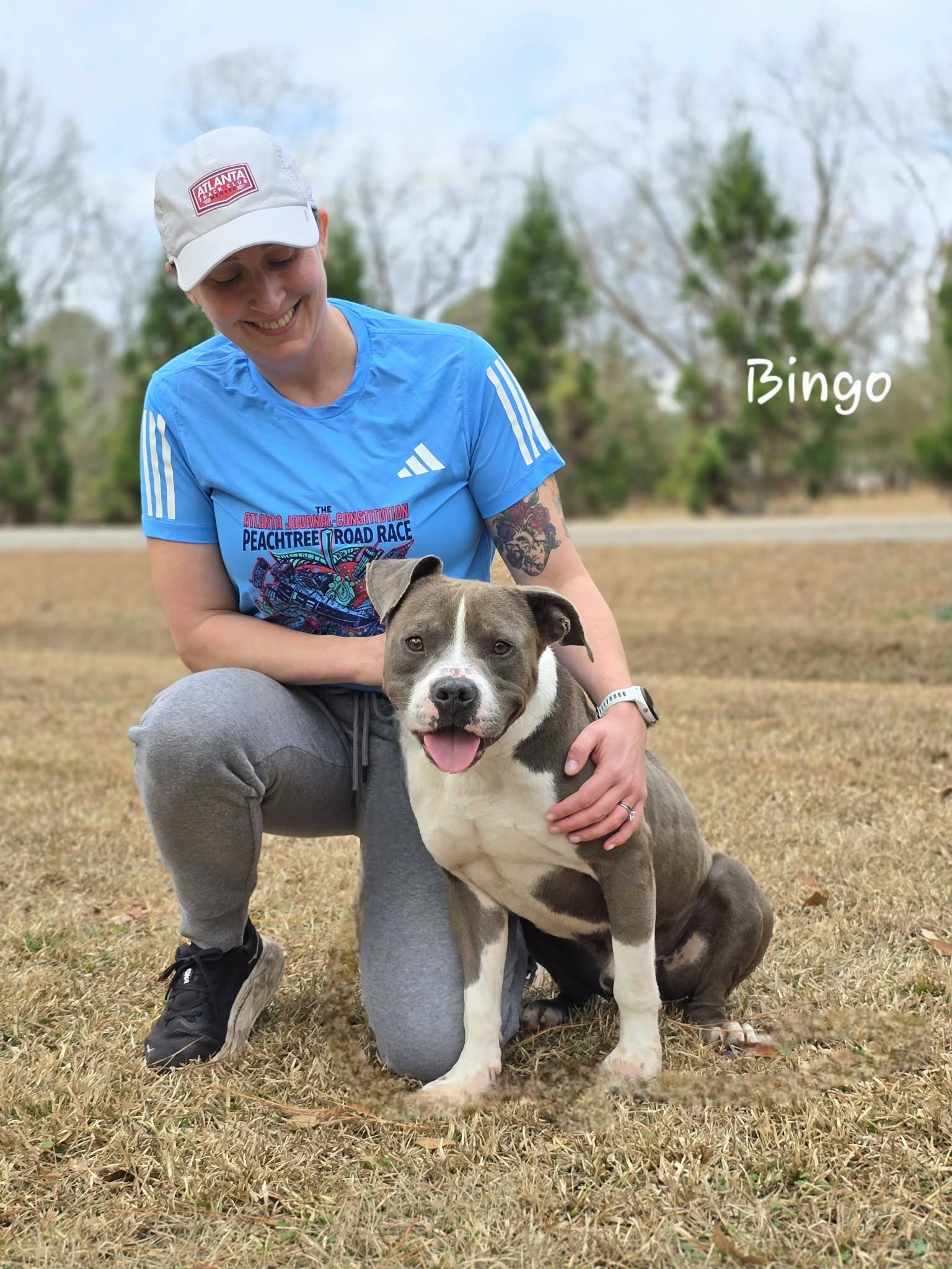 Enlarge Bingo, a ADOPTABLE mixed breed in Bishop, GA image 6/6