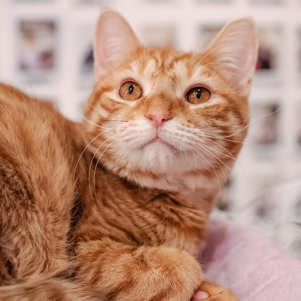 Kyle — thumbnail 2