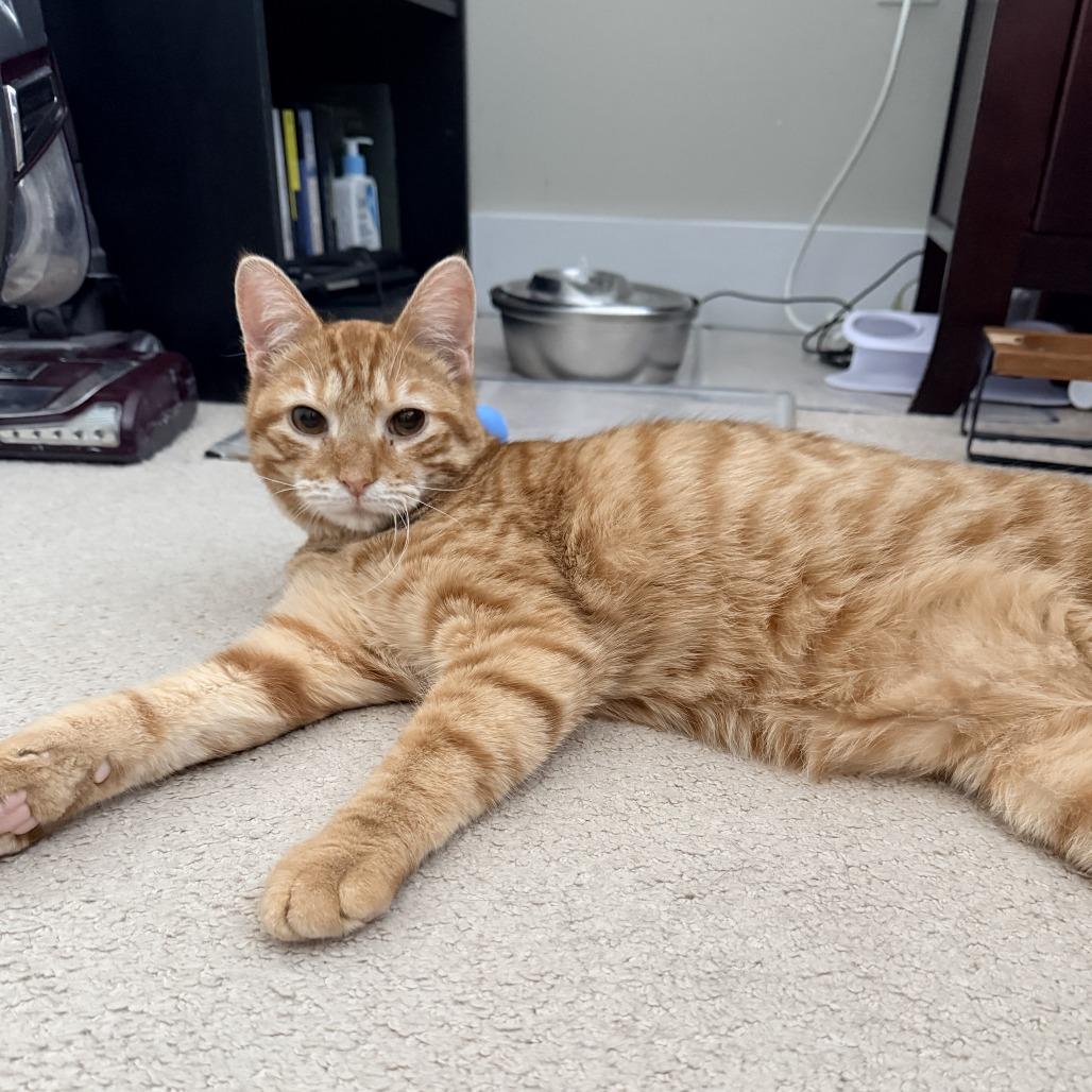 Kyle — thumbnail 3