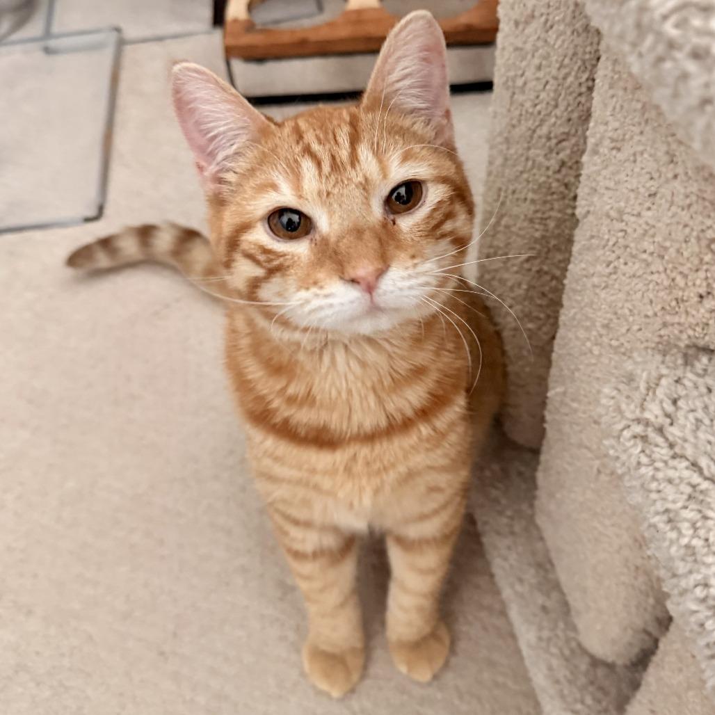 Kyle — thumbnail 4