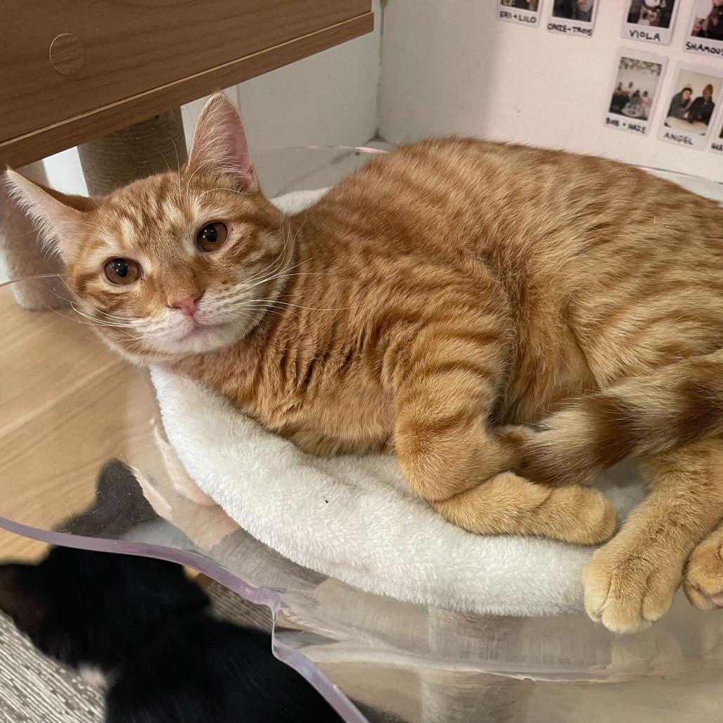 Kyle — thumbnail 5