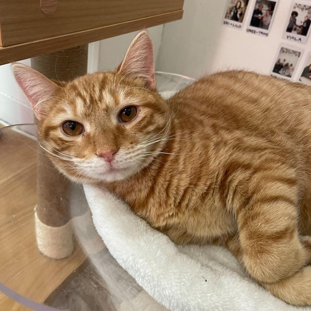 Kyle — thumbnail 6