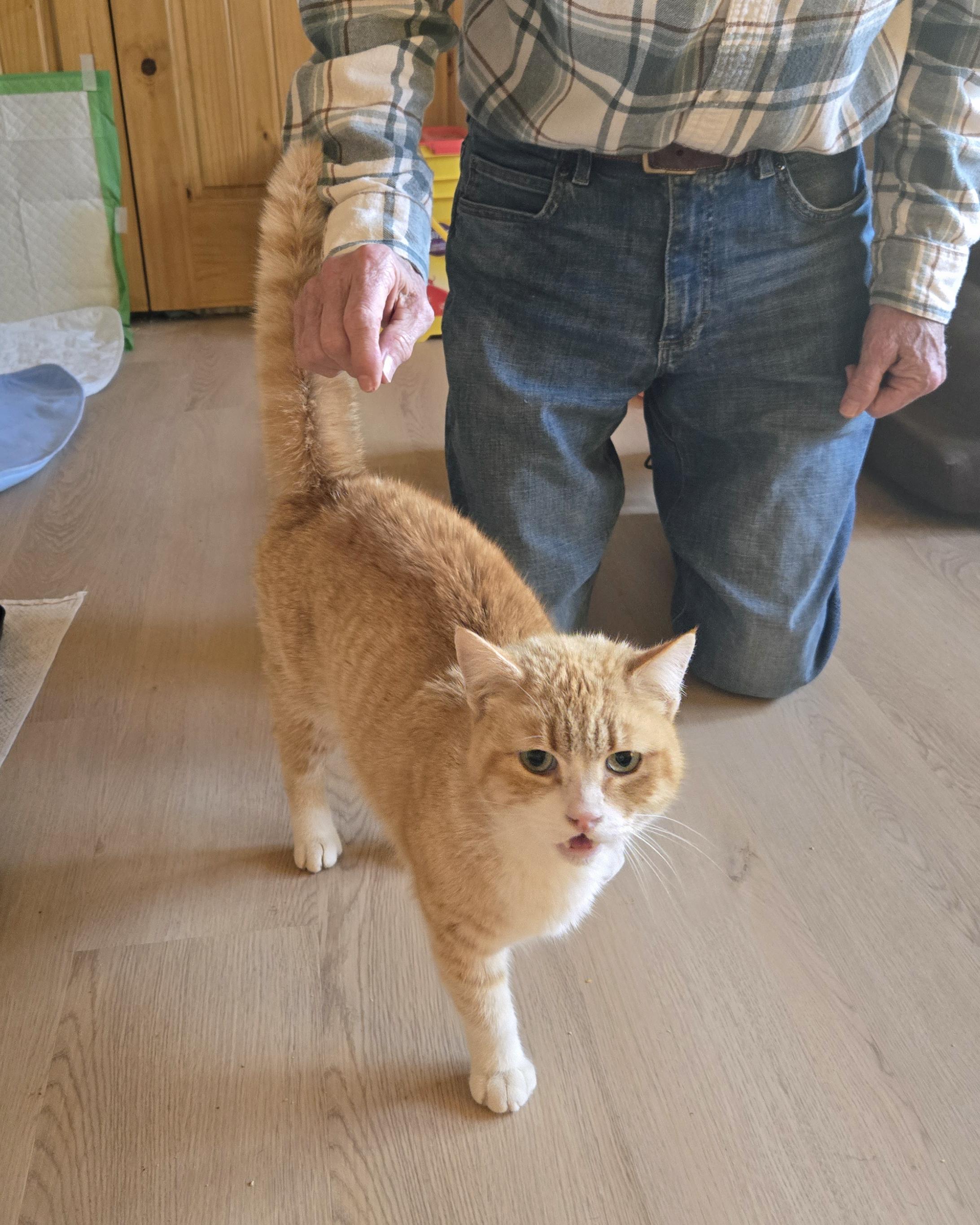 Scrambles thumbnail 3