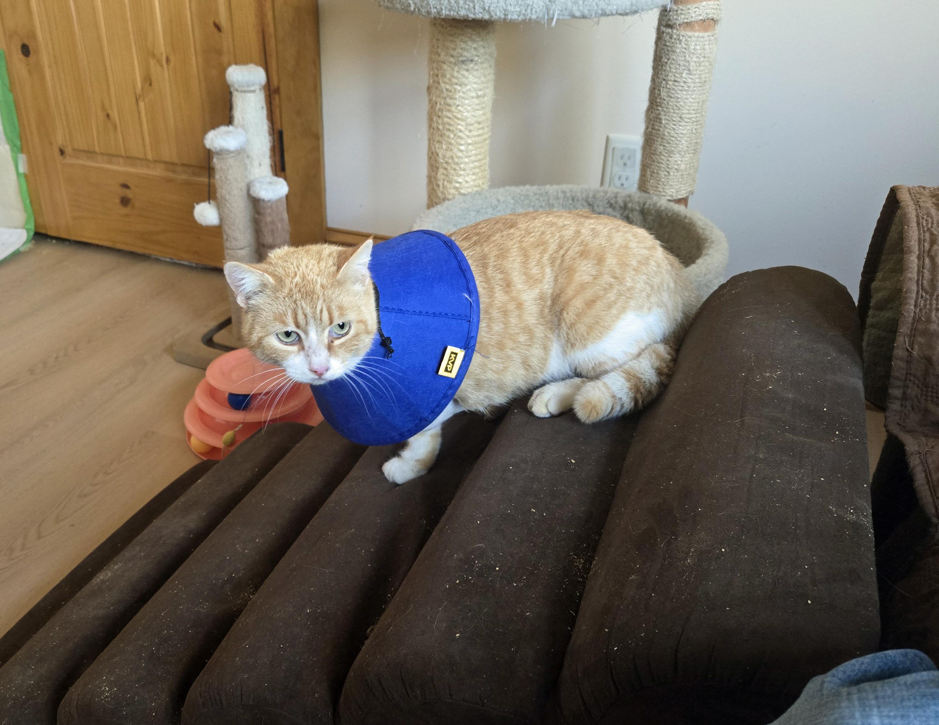 Scrambles thumbnail 4