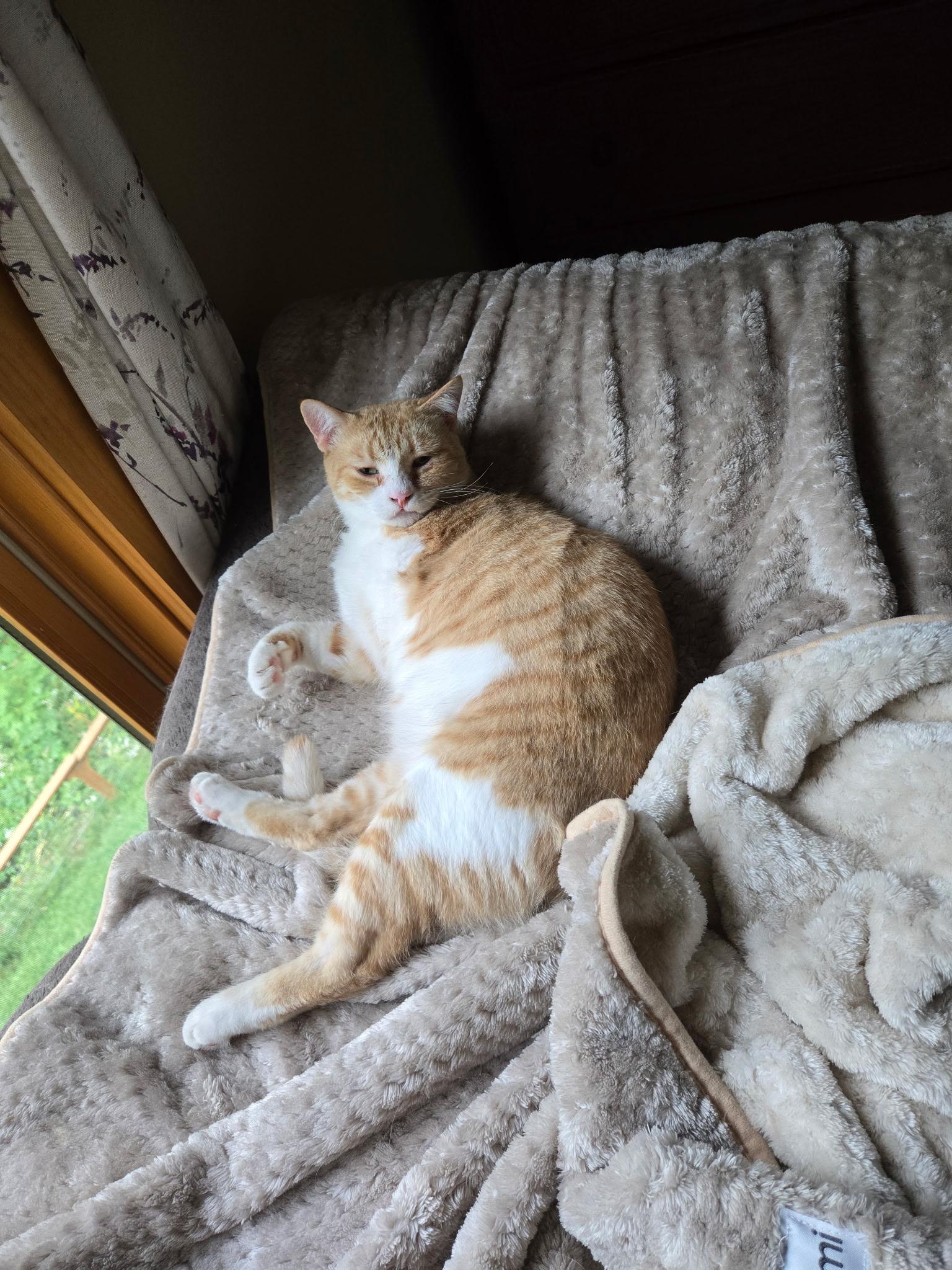 Scrambles thumbnail 2